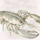 Green Lobster Art Print