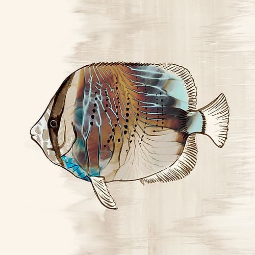 Coral Reef III Animals Print