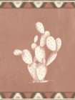 Navajo Cactus I Art Print