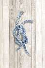 Nautical Rope I Art Print
