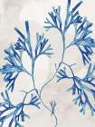 Blue Branches on Gentle Gray Art Print