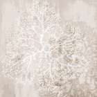 Sea Coral in Neutral II Art Print