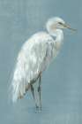 Graceful Herons II Art Print