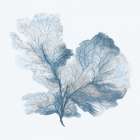 Leafy Coral in Gentle Blue Minimalist Print