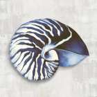 Nautilus Shell in Blue Hues I Art Print