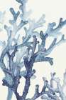 Coral Branches in Tranquil Waters Minimalist Print