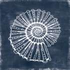 Nautilus Blueprint on Blue Canvas I Minimalist Print