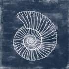 Nautilus Blueprint on Blue Canvas II Art Print