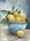 Citrus in Blue Bowl I Art Print