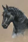Majestic Stallion II Art Print
