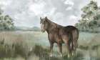 Majestic Horse in Tranquil Field Art Print