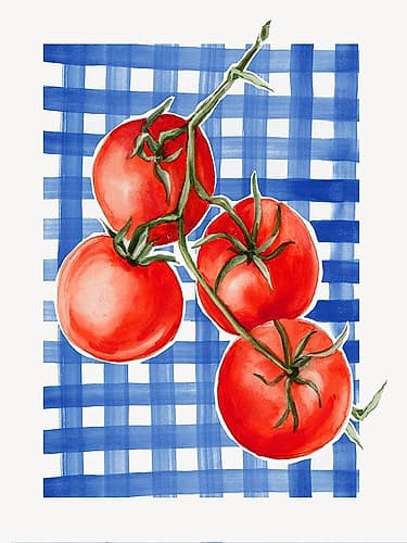 Tomatoes on Blue Checkered Cloth Art Print
