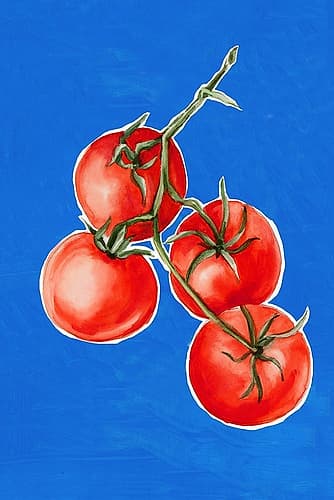Bright Tomatoes Against Blue Sky Art Print