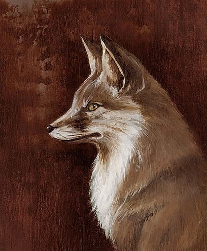 Fox I Art Print