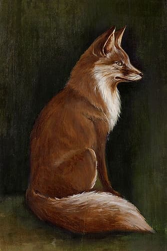 Fox II Art Print