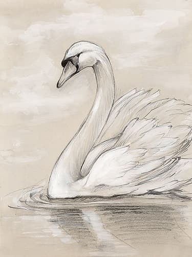 Majestic Swan on lake Aquarelle reproduction