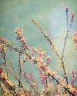 Springing Pink II Art Print