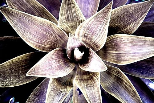 Magic Giant Art Print
