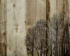 Three Barns Art Print