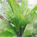 Rustic Green Embrace I Art Print