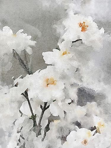 Dreamy Flower Art Print