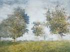Forest Landscape I Art Print