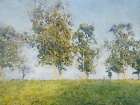 Forest Landscape II Art Print