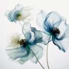Translucent Blue Poppy I Art Print