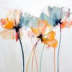 Colorful Translucent Flowers Art Print