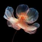 Floral Fusion in Watercolor I Art Print