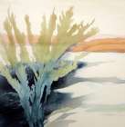 Coastal Bloomscapes II Art Print