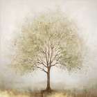 Sylvan Serenity I Art Print