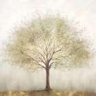 Sylvan Serenity II Art Print