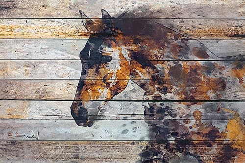 Rustic Horse on Wooden Canvas Art Print