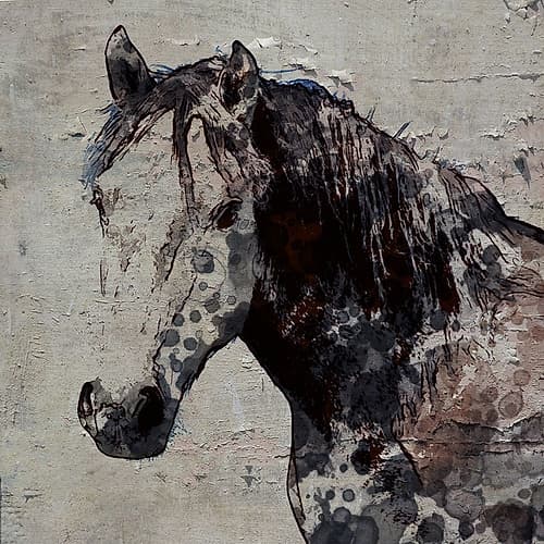 Mottled Horse Against Textured Background Art Print