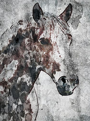 Textured Equine Portrait Moderne reproduction