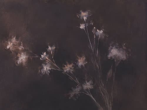 Fading Blossoms in Twilight Shadow I Art Print