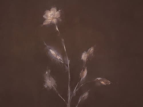 Fading Blossoms in Twilight Shadow II Minimaliste reproduction