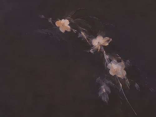 Fading Blossoms in Twilight Shadow III Art nouveau reproduction