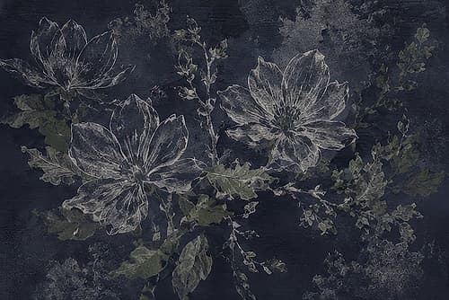 Branches in Moonlit Shadows II Art Print