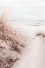 Studio III - Beach 010 Art Print by Studio III