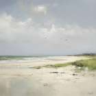 Quiet Shore Under Gentle Clouds Art Print