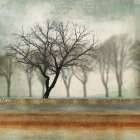 Fleeting Art Print by PI Studio