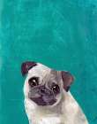 Pug Puppy Art Print by PI Studio