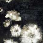 Dramatic Floral II Art Print
