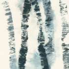 Birch Echos II Art Print by PI Studio
