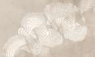 Lacy Ribbons Art Print by PI Studio
