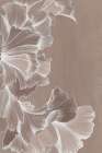 Delicate Blossom Art Print by PI Studio