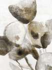 Earthy Bloom I Art Print by PI Studio