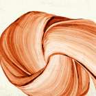 Orange Tango I Art Print by PI Studio